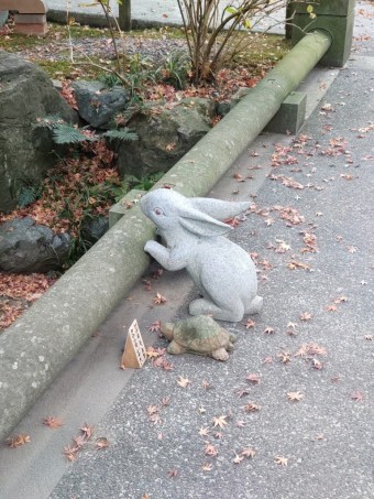 .trashed-1738733790-DSC_1436 trashed-1738733790-DSC_1436-e1738740580397